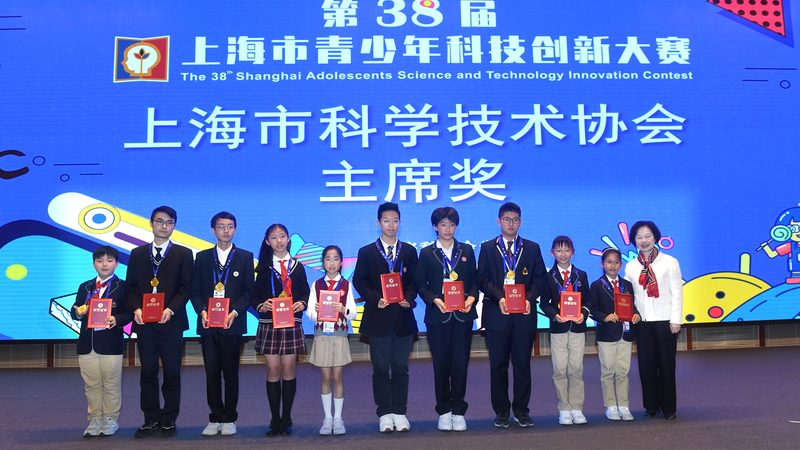 系统集成项目经理与工程师：角色定位与工作内容解析